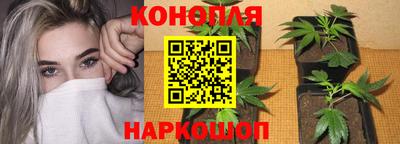 стафф Нягань