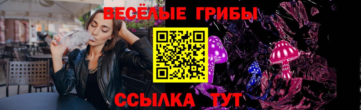 где найти наркотики  Псилоцибиновые грибы MAGIC MUSHROOMS  Вход с VPN  Октябрьский 